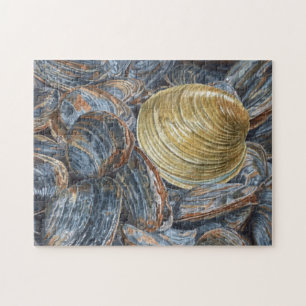 Clams and Quahog Shell Puzzle