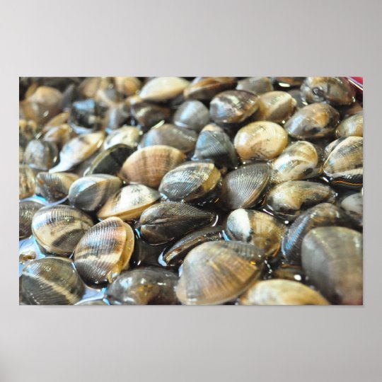 Clams Up Close and Personal High Definition Poster Zazzle.co.uk