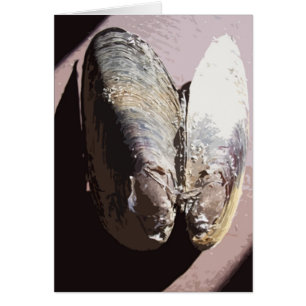 Clamshell Butterfly Art