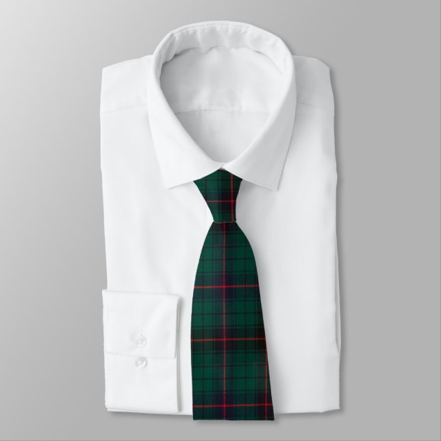 Clan Davidson Tartan Plaid Tie (Tied)