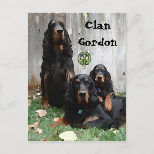 Clan Gordon, Gordon Setter Painting Postcard