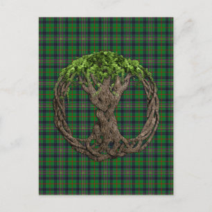 Clan Kennedy Tartan And Celtic Tree Of Life Postcard