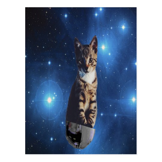 Clancy the Space Cat Postcard