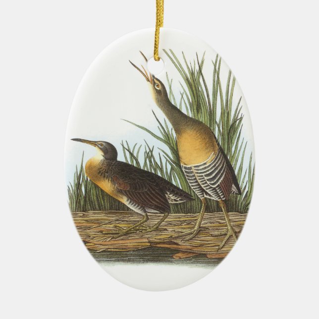 Clapper Rail by Audubon Ceramic Tree Decoration (Front)