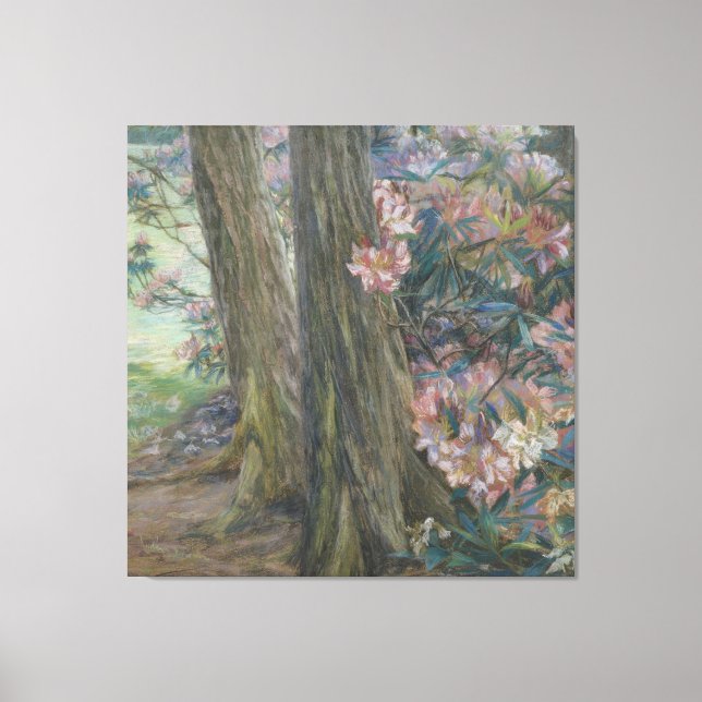 Clara Voortman Rhododendron Bush in a Garden Canvas Print (Front)