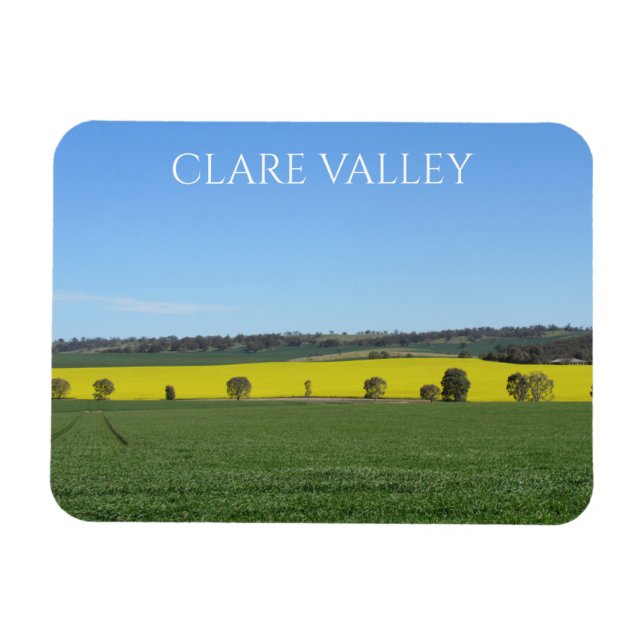 clare canola fields magnet (Horizontal)