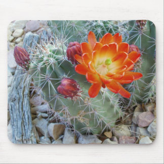Claret Cup Cactus Flower Mousepad