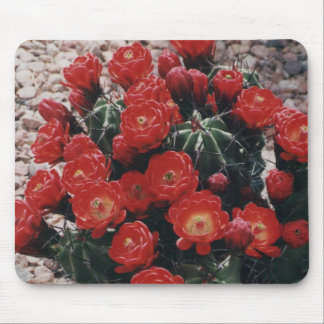 claret cup cactus mouse mat