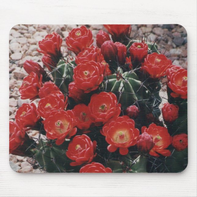 claret cup cactus mouse mat (Front)