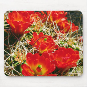 Claret Cup Cactus Wildflowers Mouse Mat