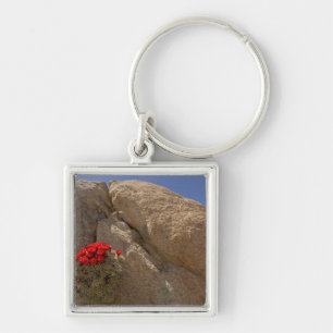 Claret cup or Mojave mound cactus in bloom Key Ring
