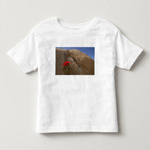 Claret cup or Mojave mound cactus in bloom Toddler T-Shirt