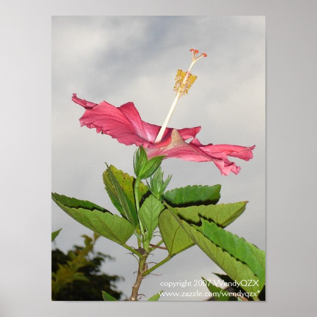 Clarion Poster (Front)