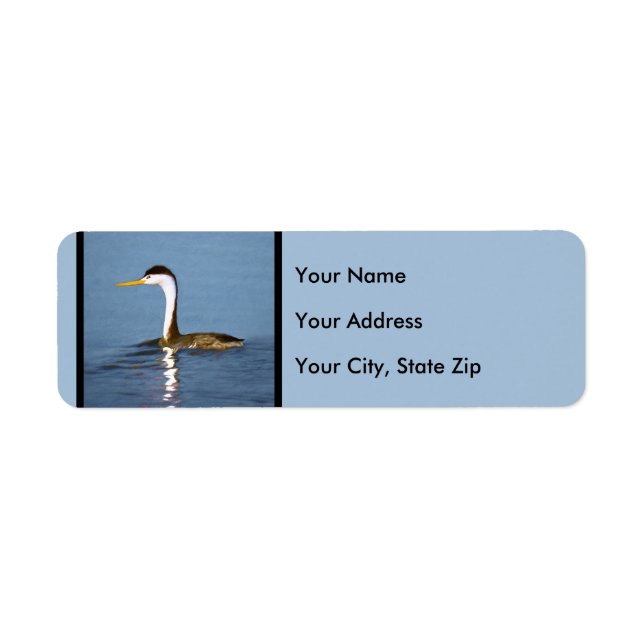 Clark's Grebe Painting - Original Bird Art (Front)