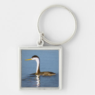 Clark's Grebe Painting - Original Bird Art Key Ring