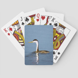 Clark's Grebe Painting - Original Bird Art Playing Cards