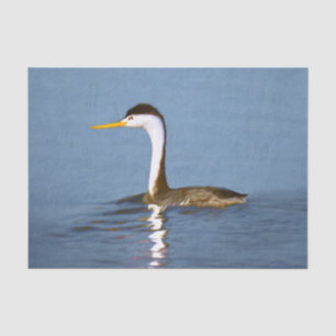 Clark's Grebe Painting - Original Bird Art Tissue Paper