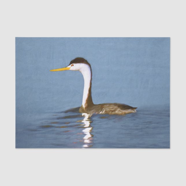 Clark's Grebe Painting - Original Bird Art Tissue Paper (Front)