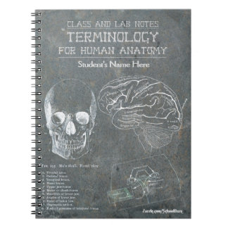 Class and Lab Notes - Terminology (Personalised) Notebook