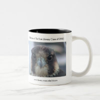 Class of 2015 Falcon mug
