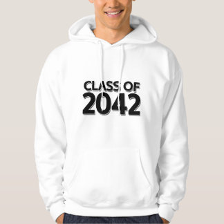 Class of 2042 hoodie