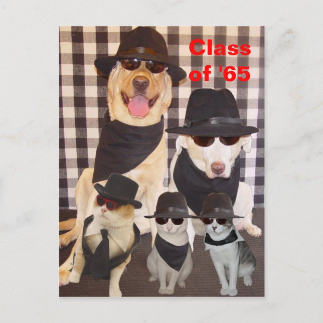 Class Reunion Postcard/Invitation Invitation Postcard (Front)