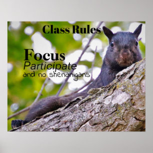 Class Rules Poster