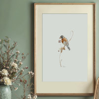 Classic American Robin Watercolor Art with Berries