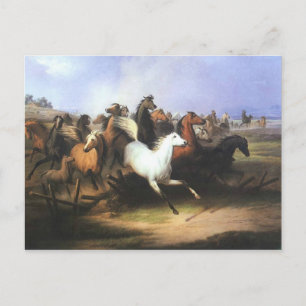 Classic Art Running Horses Postcard