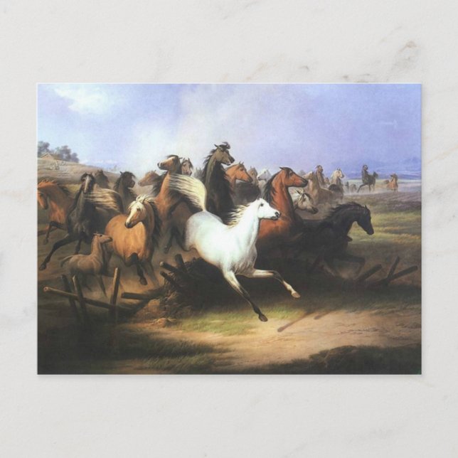 Classic Art Running Horses Postcard (Front)