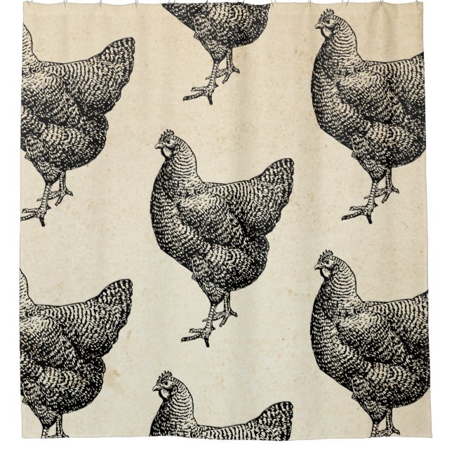 Classic Barred Plymouth Rock Chicken Hen Shower Curtain (Front)