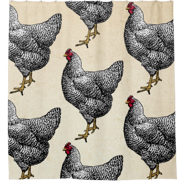 Classic Barred Plymouth Rock Chicken Hen Shower Curtain (Front)