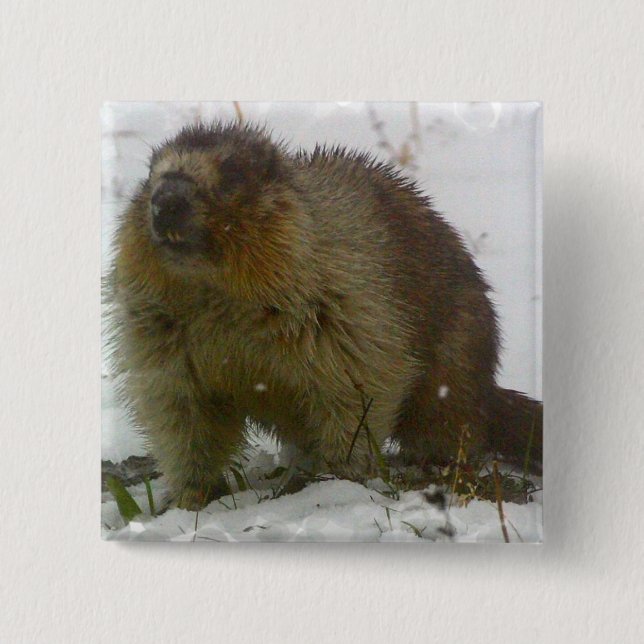 Classic Beavers Square Pin (Front)