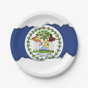 Classic Belise Flag Paper Plate