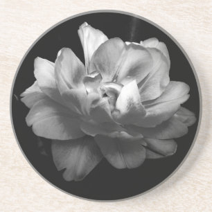 Classic Black and White Flower II Coaster