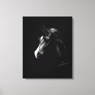Classic black Arabian horse art (Smaller option) Canvas Print