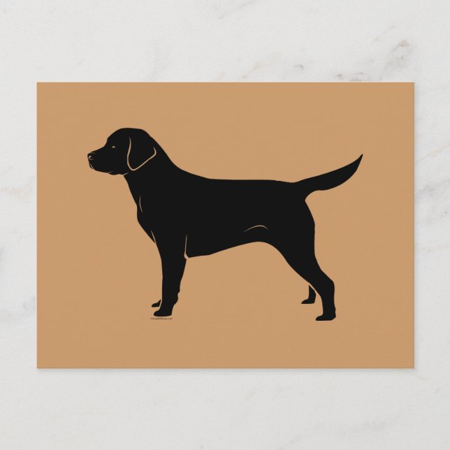 Classic Black Labrador Retriever Silhouette Postcard (Front)
