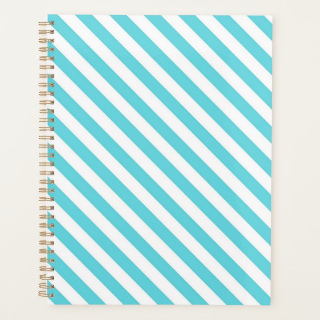 Classic blue and white diagonal stripes planner (Front)