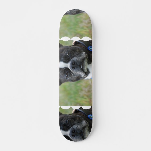 Classic Boston Terrier Dog Skateboard (Front)
