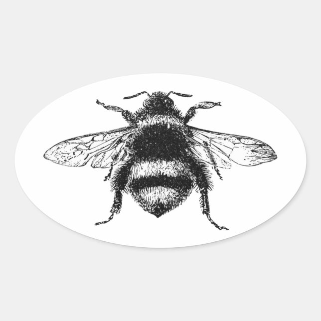 Classic Bumble Bee Oval Sticker (Front)