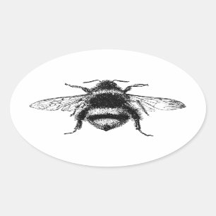 Classic Bumble Bee Oval Sticker