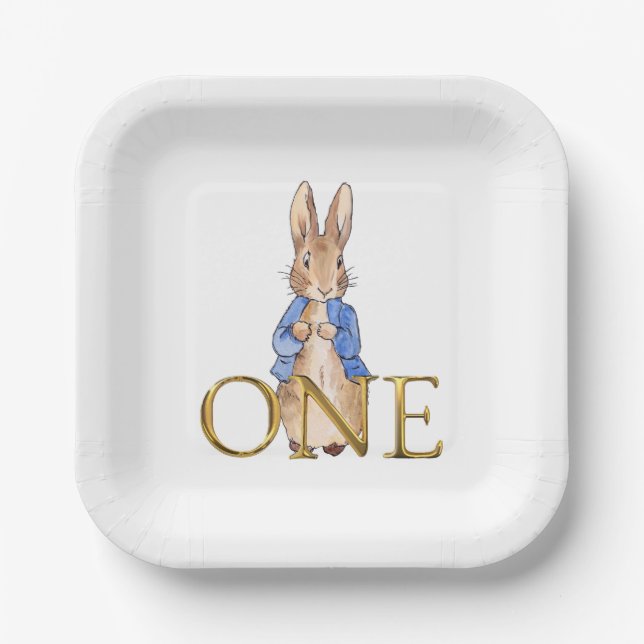 Classic Bunny in blue jacket First Birthday Paper Plate (Front)
