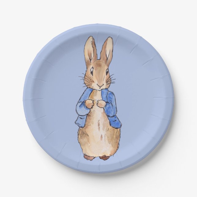 Classic bunny rabbit blue background paper plate (Front)
