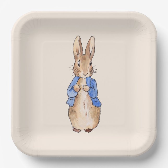 Classic bunny rabbit blue jacket paper plate (Front)