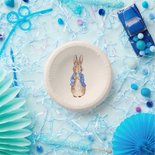 Classic bunny rabbit blue jacket paper plate (Party)