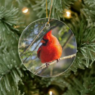 Classic Cardinal Portrait Ceramic Tree Decoration