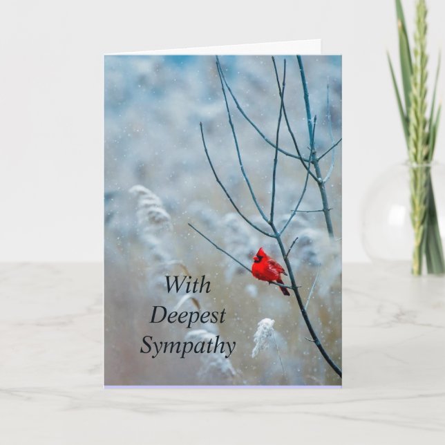 Classic Cardinal Red Bird Christmas Encouraging  Card (Front)