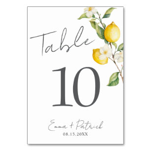 Classic Citrus Lemon Summer Table Number