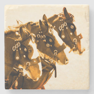 Classic Clydesdale marble Stone Coaster