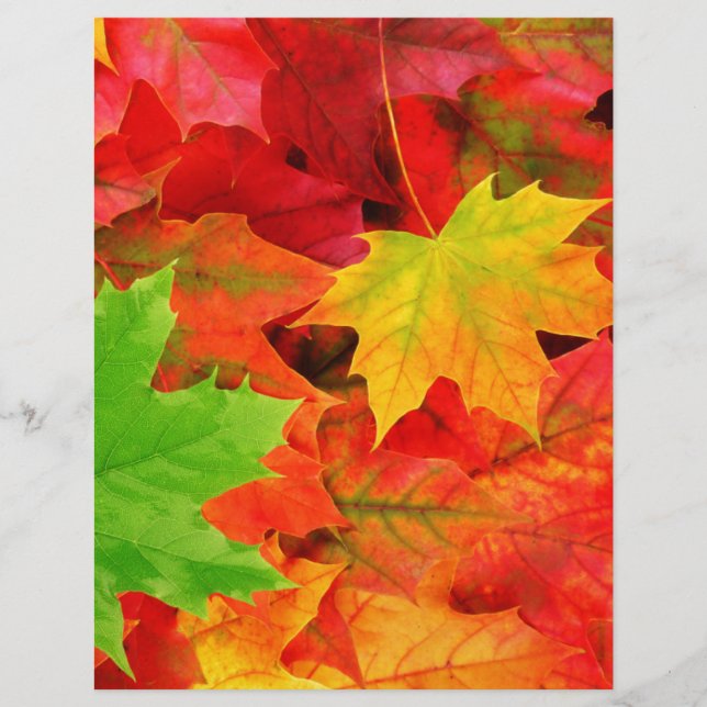 Classic Coloured Autumn Fall Leaf Print (Front)